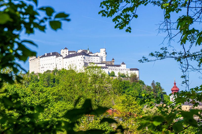 The Hohensalzburg Fortress by Christa Kramer