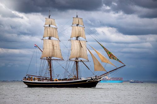 Tallship Morgenster op de Westerschelde van Fotografie in Zeeland
