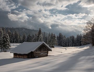 Winterdroom van Anselm Ziegler Photography