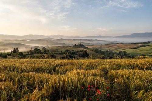 Zonsopgang over Val d'Orcia, Toscane