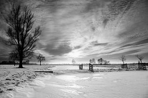 Dutch winter landscape in black & white sur Peter van Eekelen