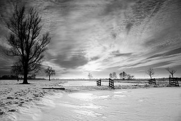 Dutch winter landscape in black & white van Peter van Eekelen