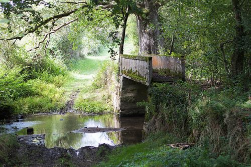 Oude stenen brug over bosbeek