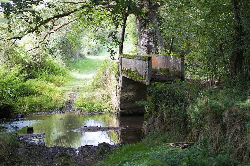 Vieux pont de pierre sur un ruisseau forestier par rene marcel originals