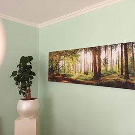 Kundenfoto: Idyllischer Wald bei Sonnenaufgang von Günter Albers, als artframe