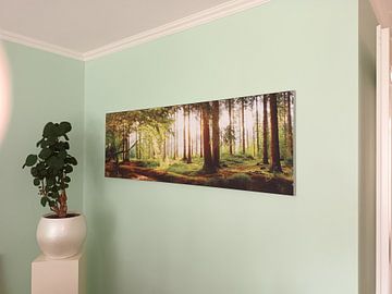 Customer photo: Beautiful forest