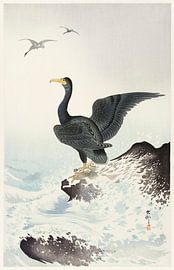 Cormoran à masque rouge sur un rocher (1900 - 1936) par Ohara Koson sur Studio POPPY
