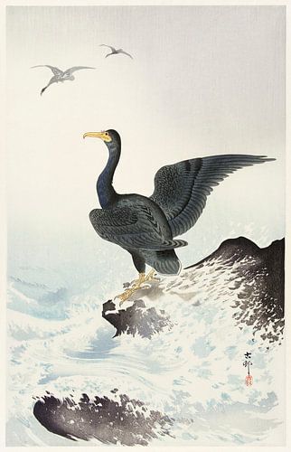 Red mask cormorant on rock (1900 - 1936) by Ohara Koson