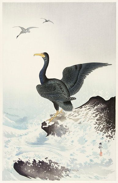 Red mask cormorant on rock (1900 - 1936) by Ohara Koson by Studio POPPY