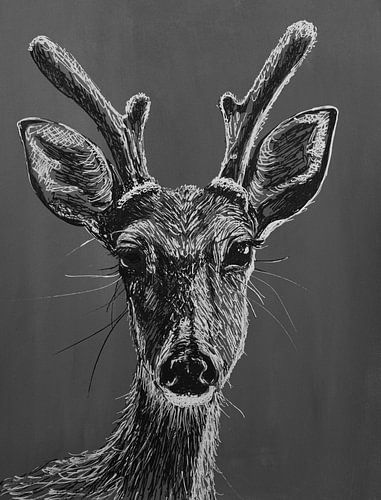 Dessin au stylo d'un cerf en noir et blanc