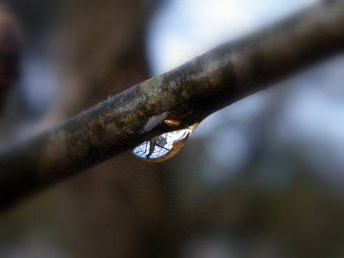 Waterdruppel met reflectie. Waterdrop with reflection.