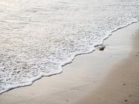 It's a rock | Beach | Zeeland | Travel photography