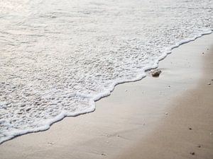 It's a rock | Strand | Zeeland | Reisfotografie van Stories by Pien