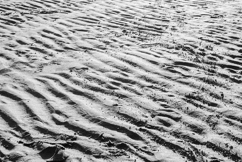 Am Strand von Smollie Travel Photography