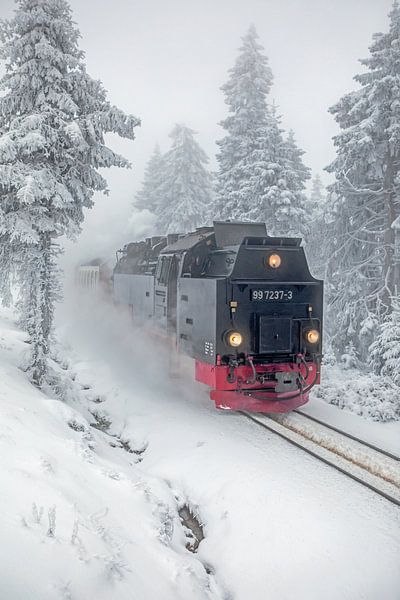 The Brocken Railway by t.ART