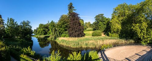 Swan pond in Putbus castle park