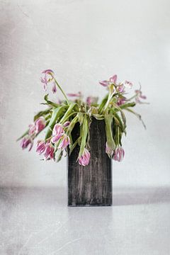 Tulpen vergaan.... (IV)