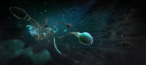 Der Beginn eines neuen Lebens