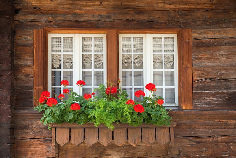 wooden facade with white lattice window and geranium by SusaZoom