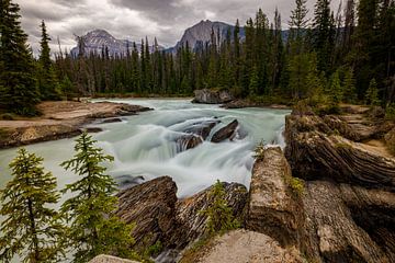 La rivière Kicking Horse au Canada sur Roland Brack