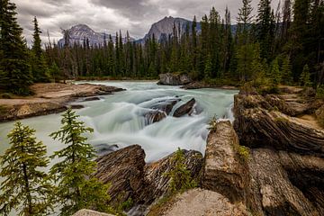 De Kicking Horse rivier in Canada van Roland Brack