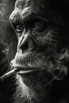 Portrait expressif en noir et blanc d'un singe sur Felix Brönnimann