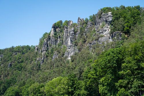 Zandstenen kliffen en bomen bij de Bastei