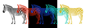 Zebra POP-ART Parade