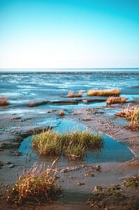 Waddenzee bij Friedrichskoog van Florian Kunde