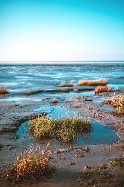 Wattenmeer bei Friedrichskoog von Florian Kunde