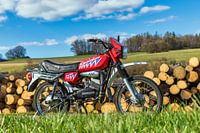 Zündapp Hai 50 vor Holzstapel