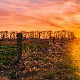 De laatste zonnestralen van de dag van Ronald Buitenhuis