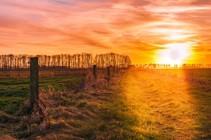 De laatste zonnestralen van de dag van Ronald Buitenhuis