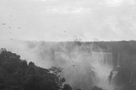 Argentinië Iguazu Falls van Linda Hanzen thumbnail