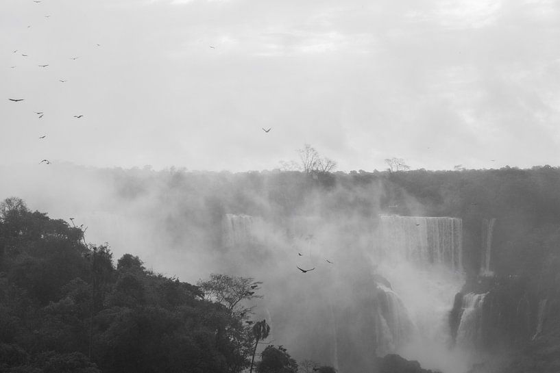 Argentinië Iguazu Falls van Linda Hanzen