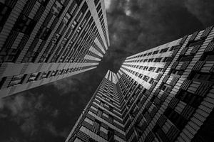 Looking up sur Jelmer Jeuring