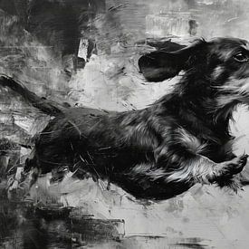 Rauhhaardackel in Schwarz und Weiß von Lauren Wilde