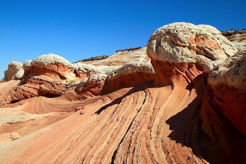White Pocket in the Vermilion Cliffs National Monument, Arizona,USA von Frank Fichtmüller