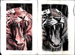 TIGERBISS
