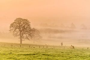 Foggy Morning van Ellen van den Doel