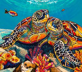 Schildkröten: Gemeinsam in Stroming