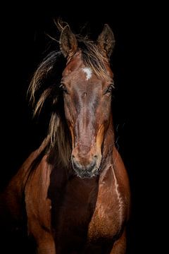 Kees sur Eilandkarakters Ameland