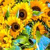 Zonnebloemen von Henk Ravenhorst