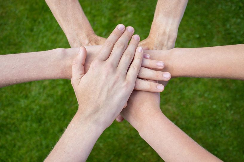 Six arms unite with hands on each other with green grass. by Ben Schonewille