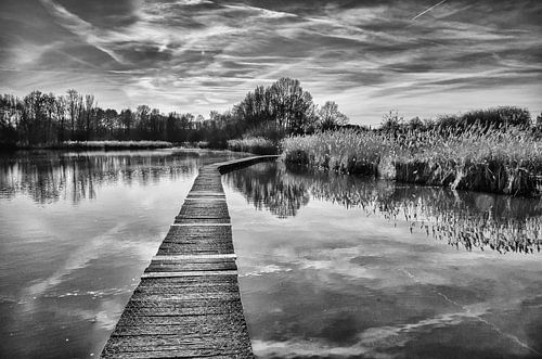 Knuppelpad Het Vinne