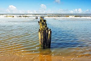 Callantsoog