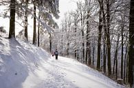 Zonnige sneeuw hike in Duitsland 2 van Pieter Bezuijen thumbnail