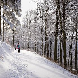 Zonnige sneeuw hike in Duitsland 2 van Pieter Bezuijen