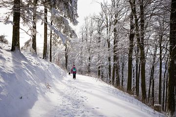 Zonnige sneeuw hike in Duitsland 2