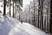 Zonnige sneeuw hike in Duitsland 2 van Pieter Bezuijen